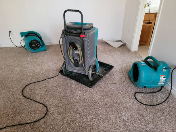 Best Carpet water damage restoration  in Enola, PA