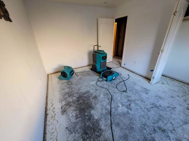 Best Flooded house restoration  in Enola, PA