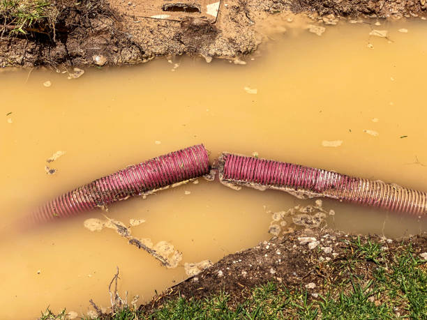 Professional Water damage restoration in Enola, PA